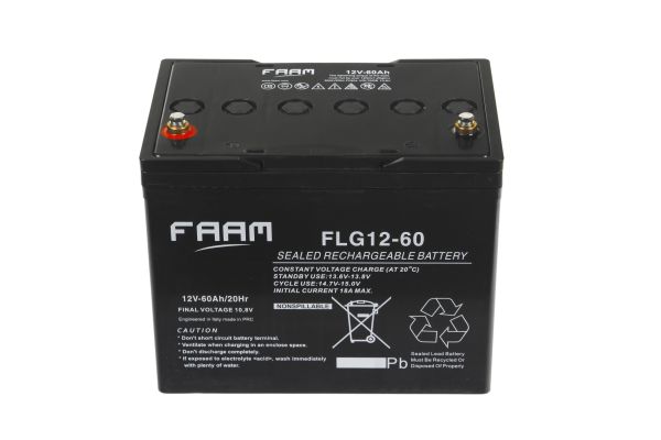 Акумулятор FAAM FLG12-60, 12В, 60А*год