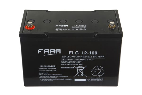 Акумулятор FAAM FLG12-100, 12В, 100А*год